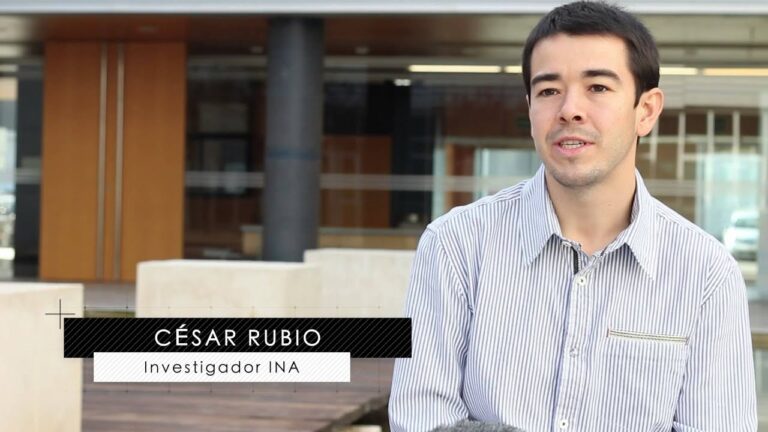 Nuevas innovaciones en tejidos resistentes: Lo último en tecnología textil