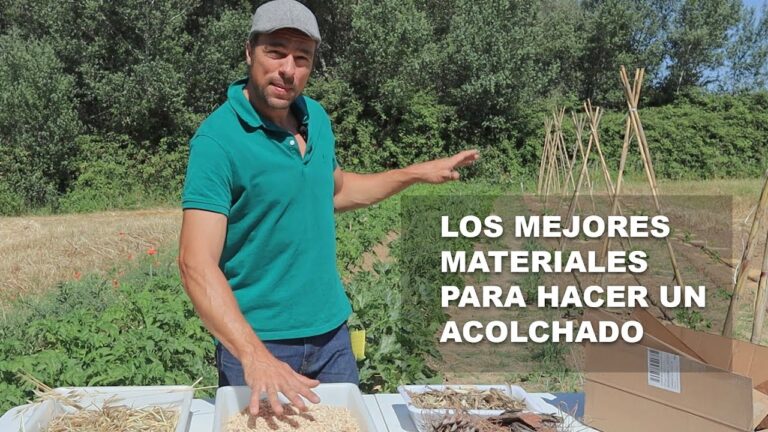 Guía de Materiales para Acolchado