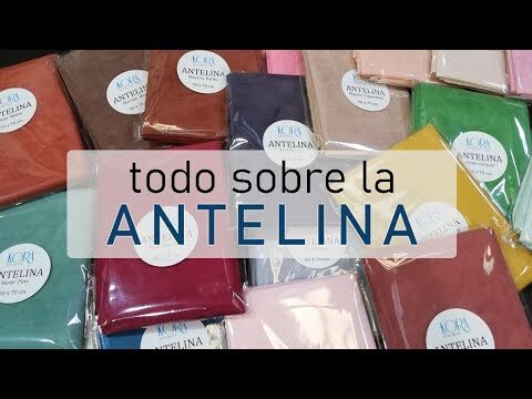 Detalles en Antelina: Elegancia y Sofisticaci&oacute;n