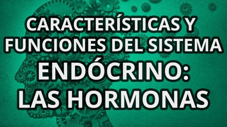 Estilo y funcionalidad: tejidos oxford