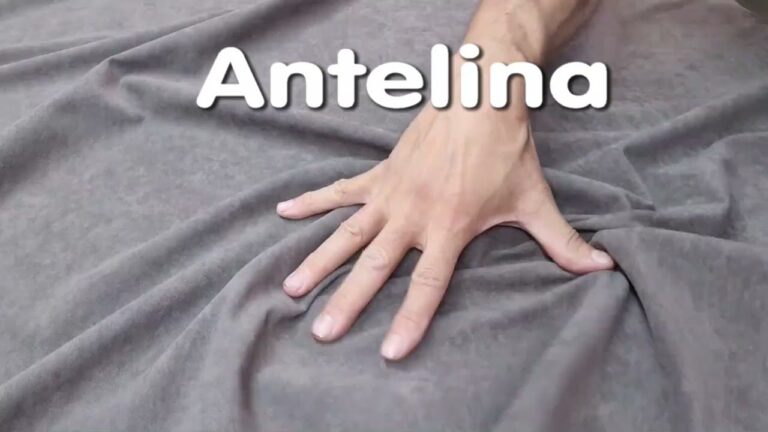 Gu&iacute;a de los Mejores Tipos de Antelina para Sof&aacute;s